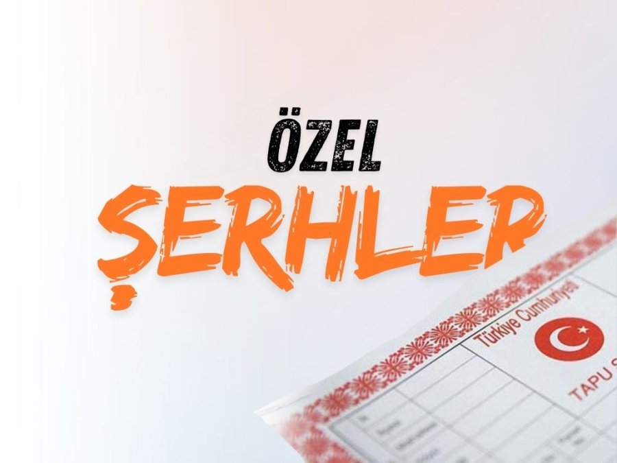 özel şerh nedir